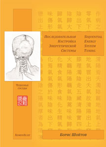 Последовательная настройка энергетической системы (метод  SEST). Чудесные сосуды